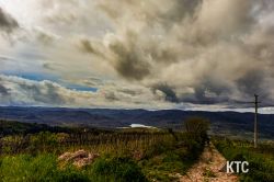 2023-04-14_Istria_100_-_20230415_103347 2023-04-14_Istria_100_-_20230415_103347