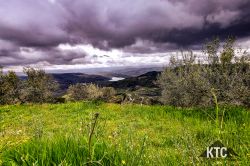 2023-04-14_Istria_100_-_20230415_115239 2023-04-14_Istria_100_-_20230415_115239