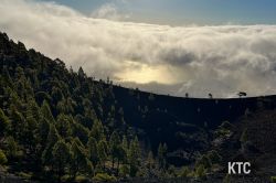 2023-05-06_Transvulcania_-_IMG_4320 2023-05-06_Transvulcania_-_IMG_4320