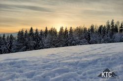 2023-12-08_Lauftreff_Gipfelkreuz10er_-_20231208_153846