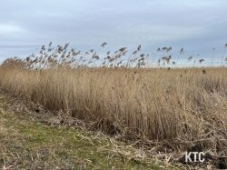 2024-01-26_Burgenland_Extrem_Final_Trail_-_IMG_9851