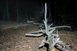 2024-02-22_-_IMG_8319 2024-02-22_-_IMG_8319