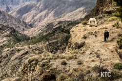 2024-02-24_Transgrancanaria_-_IMG_8406