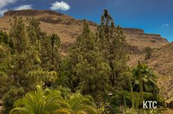 2024-02-24_Transgrancanaria_-_IMG_8558