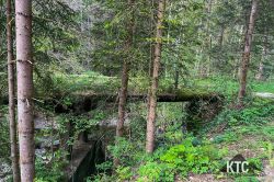 2024-04-30_Lauftreff_Waldbahn_-_IMG_1220