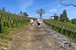 2024-05-04_Welschlauf_-_IMG_4287