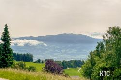 2024-06-09_Reisberglauf_-_IMG_0224