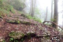 2024-06-15_PTRF_Podbrdo_Trail_Running_Festival_-_20240615_081215