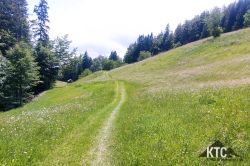 2024-06-15_PTRF_Podbrdo_Trail_Running_Festival_-_20240615_131554