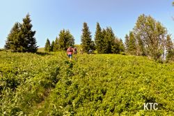 2024-06-30_Lauftreff_mit_SCARPA_Schuhtest_-_GOPR9517