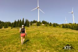 2024-06-30_Lauftreff_mit_SCARPA_Schuhtest_-_IMG_2845