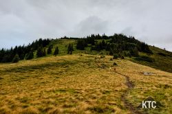 2024-08-02_KAT100_-_20240803_142034