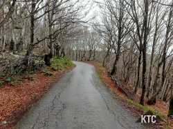 2025-04-25_Ultratrail_Vipava_Valley_UTVV_-_20250426_081853