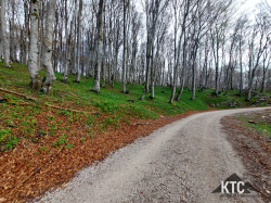 2025-04-25_Ultratrail_Vipava_Valley_UTVV_-_20250426_082335