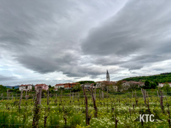 2025-04-25_Ultratrail_Vipava_Valley_UTVV_-_IMG_2810