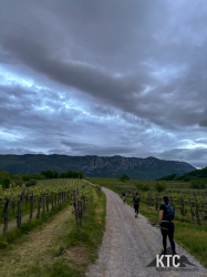 2025-04-25_Ultratrail_Vipava_Valley_UTVV_-_IMG_2813