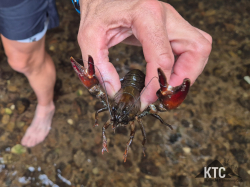 2025-06-23_Kindertraining_Abschluss_Gamsbachsiedlung_-_20250623_164945