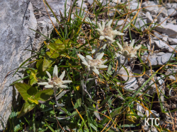 2025-09-19_Hochstuhl_Grenzabenteuer_-_20250919_120614