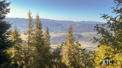 2025-09-19_Julian_Alps_Trail_Run_-_89EB746B-06B3-46C0-B327-4197EA1EFC59