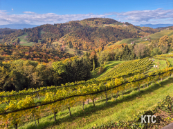 2025-10-18_Südsteirischer_Terrassenlauf_-_20251018_111633