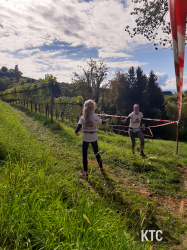 2025-10-18_Südsteirischer_Terrassenlauf_-_20251018_112446