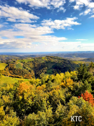 2025-10-18_Südsteirischer_Terrassenlauf_-_20251018_130026