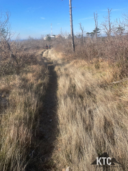 2026-01-04_s1_la_corsa_della_bora_-_IMG_9648